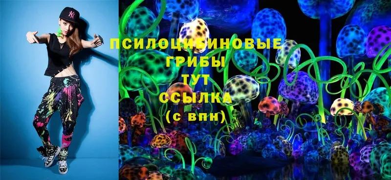 Галлюциногенные грибы Psilocybe  гидра как войти  Дивногорск 